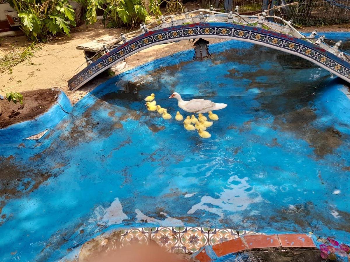 La Posada Del Sol 格塞尔镇 外观 照片