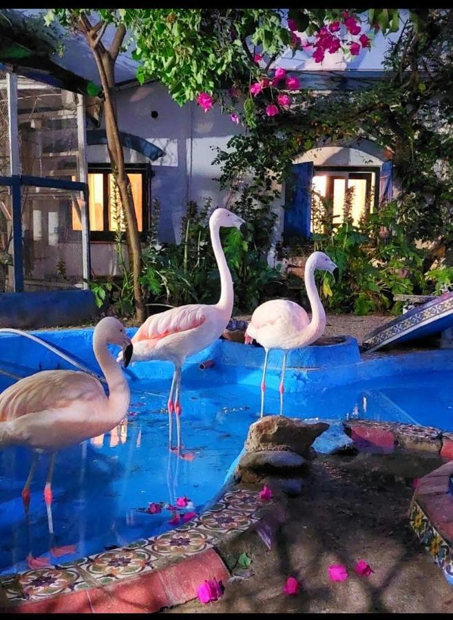 La Posada Del Sol 格塞尔镇 外观 照片